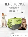 Переноска ZOOexpress Турне для кошек и собак мелких пород, цветная пластиковая дверца, 54,5х36х34 см (L), зелёный
