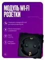 Умная розетка WIFI, модуль без рамки, с заземлением и шторками, 16А, черная, для умного дома