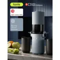 Соковыжималка шнековая 450Вт Tuvio Semble TJ09PM, цвет: серо-голубой
