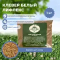 Клевер белый Лифлекс (1 кг)