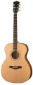 S62 Акустическая гитара, с чехлом, Parkwood
