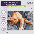 Алмазная (кристальная) мозаика с холстом на подрамнике 30 х 40 см фрея ALPD-076 Утренняя нежность