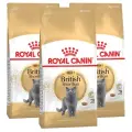 Корм сухой ROYAL CANIN полнорационный сбалансированный для взрослых британских короткошерстных кошек старше 12 месяцев 2 кг х 3 шт