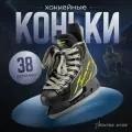 Коньки хоккейные Winter Star Advanced Way, размер 38, цвет черный, желтый
