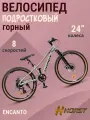 Велосипед подростковый горный скоростной 24' HORST Encanto серый