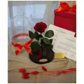 Стабилизированные цветы в стекле, Роза в колбе живая Premium бордовая, GIFT4YOU