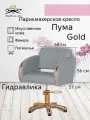 Парикмахерское кресло Пума Gold, серый цвет, основание - пятилучье