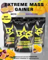 Гейнер Binasport Экстрим Масс EXTREME MASS GAINER 3000 г со вкусом манго-маракуйи