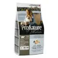 Корм для кошек сухой Pronature Holistic Atlantic для кожи и шерсти на лососе с рисом, 5кг