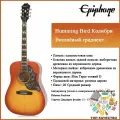 EPIPHONE Hummingbird Studio акустическая гитара